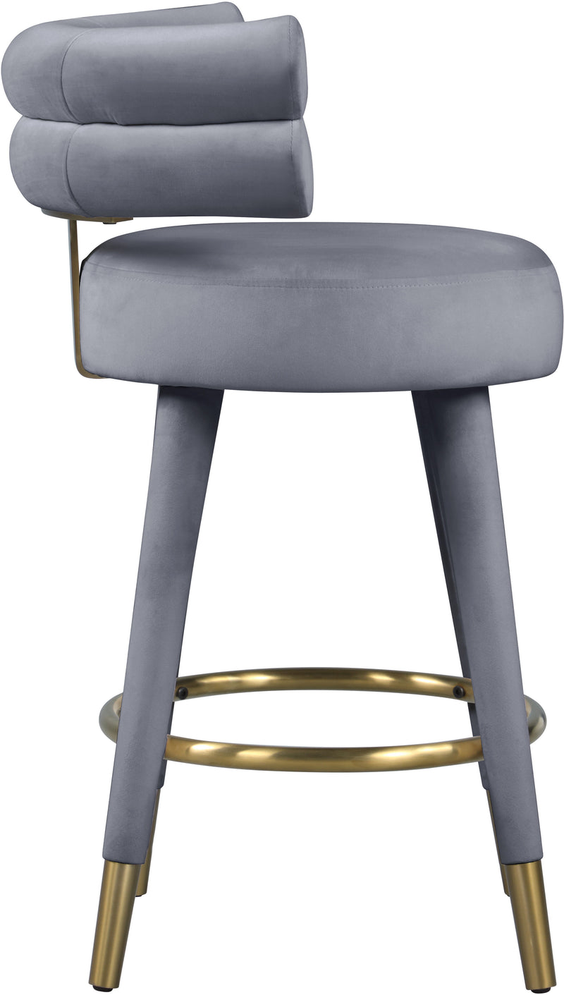 Fitzroy - Counter Stool (Set of 2)