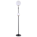 Dacki - Dual Spherical Bulb Metal Floor Lamp - Black