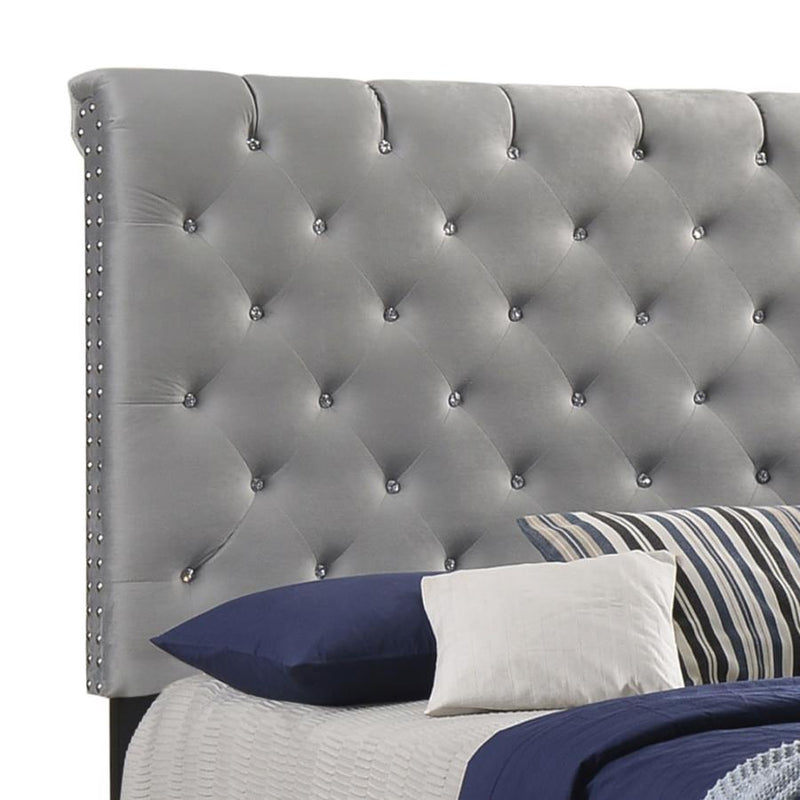 Warner - Upholstered Bed