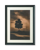 Chadlow - Wall Art - Brown / Black