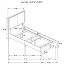 Boyd - Upholstered Panel Bed