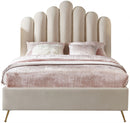 Lily - Bed