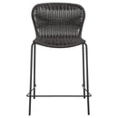 Mckinley - Faux Rattan Metal Chair (Set of 2)