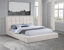 Dreux - Upholstered Panel Platform Bed