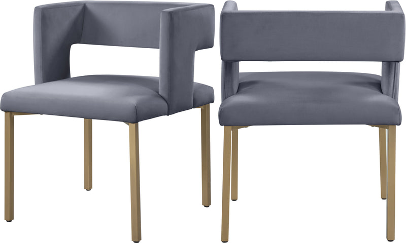 Caleb - Dining Chair with Gold Legs (Set of 2)