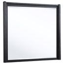 Leandro - Dresser Mirror - Burnished Black