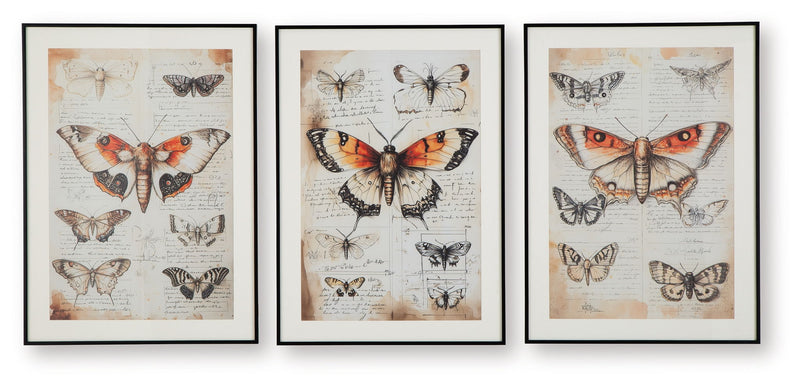 Jossletts - Wall Art Set (Set of 3) - Orange / Black / Ivory
