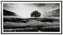 Deborland - Wall Art - Black / White